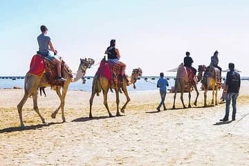 Makadi Bay Camel Ride Experience - Image 4
