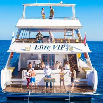 عرض كل الصور