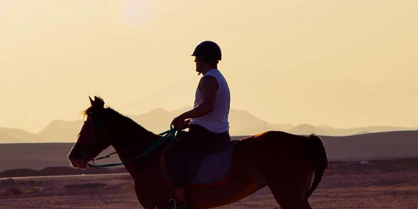 El Gouna: Desert & Red Sea Horse Ride, Swim Optional