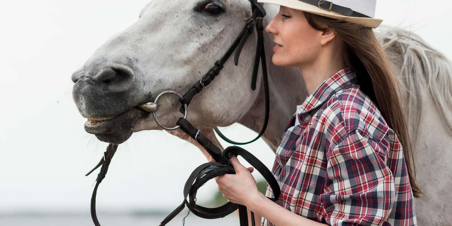 El Gouna: Desert & Red Sea Horse Ride, Swim Optional