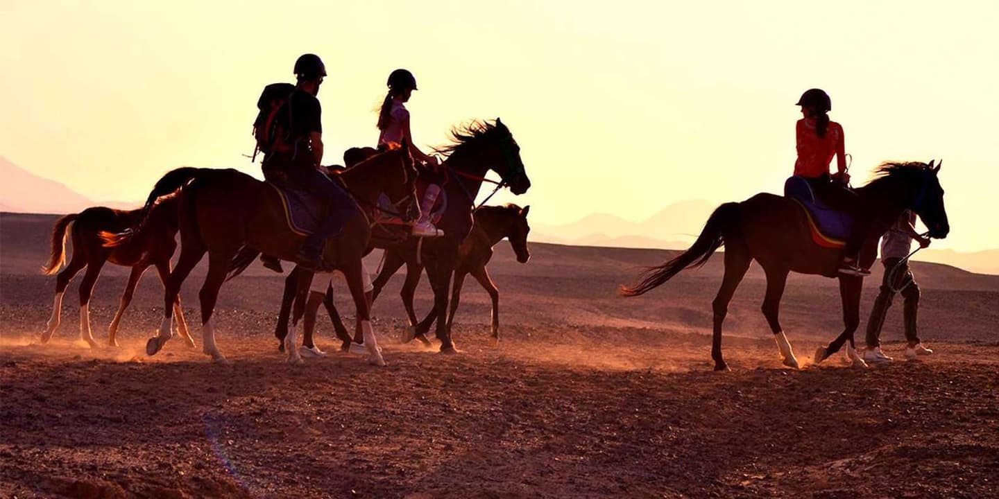 El Gouna: Desert & Red Sea Horse Ride, Swim Optional
