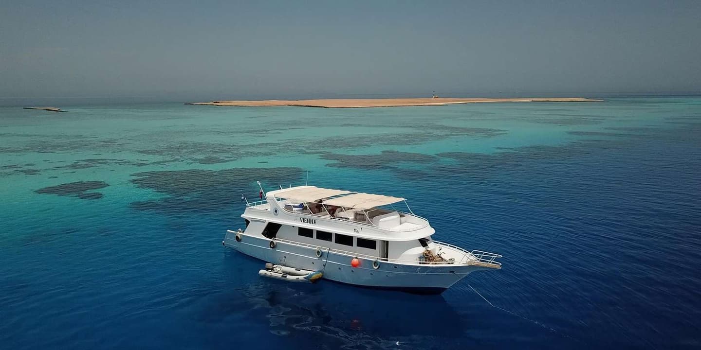 El Gouna: Red Sea Snorkelling Adventure with Transfers