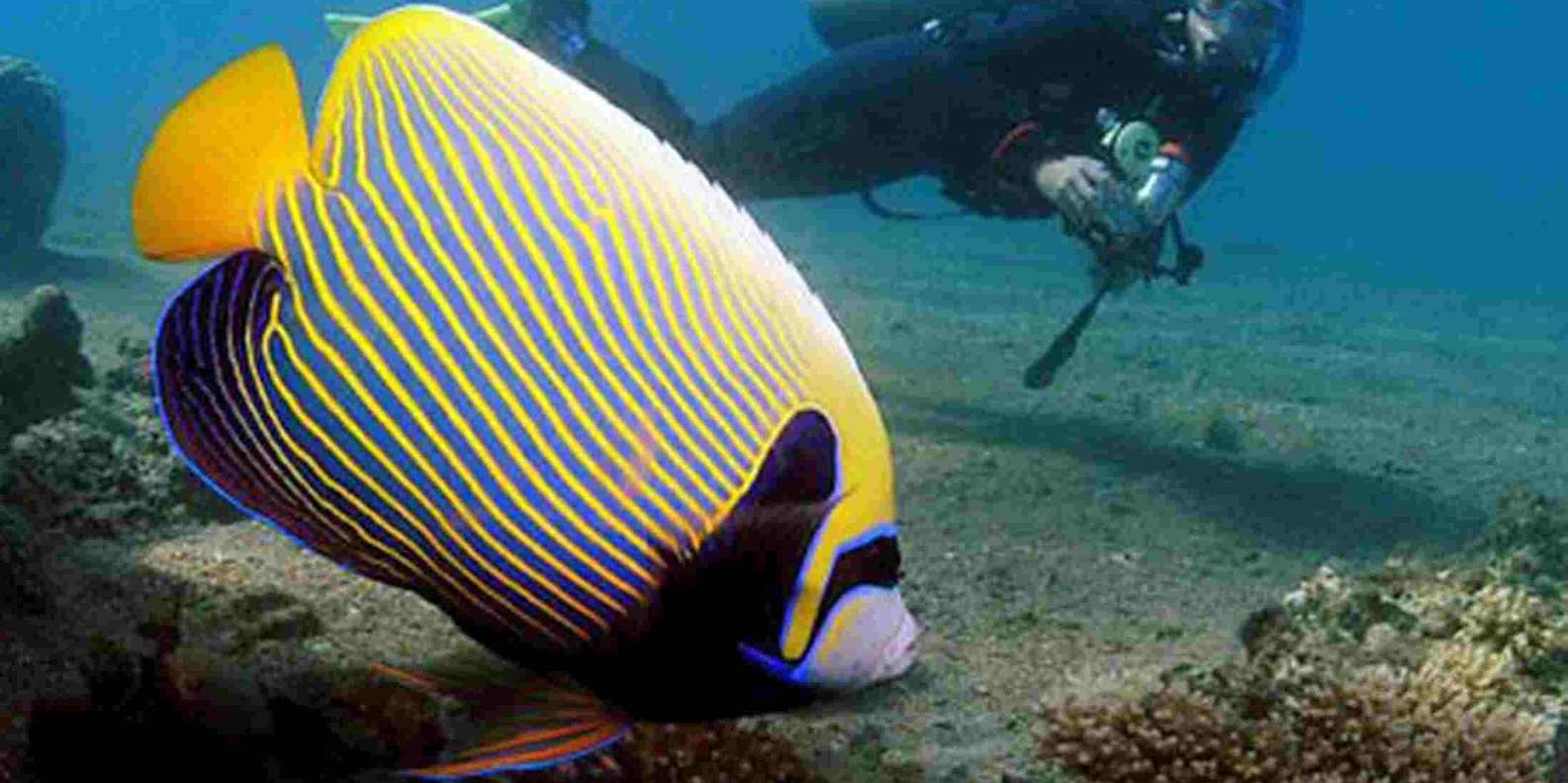 Dahab: Blue Hole Snorkelling and Camel Ride Day Trip