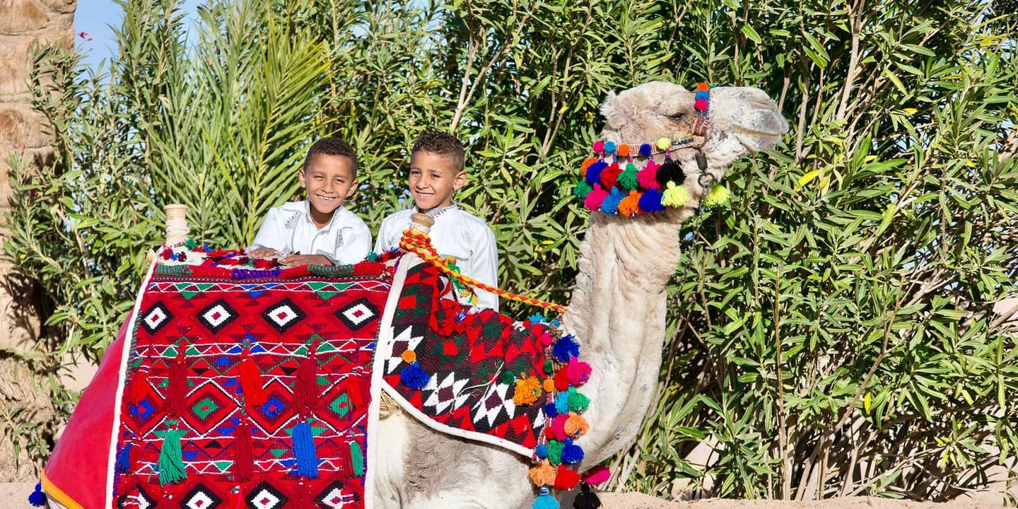 Hurghada: Camel Ride, Blue Lagoon, BBQ, and Stargazing