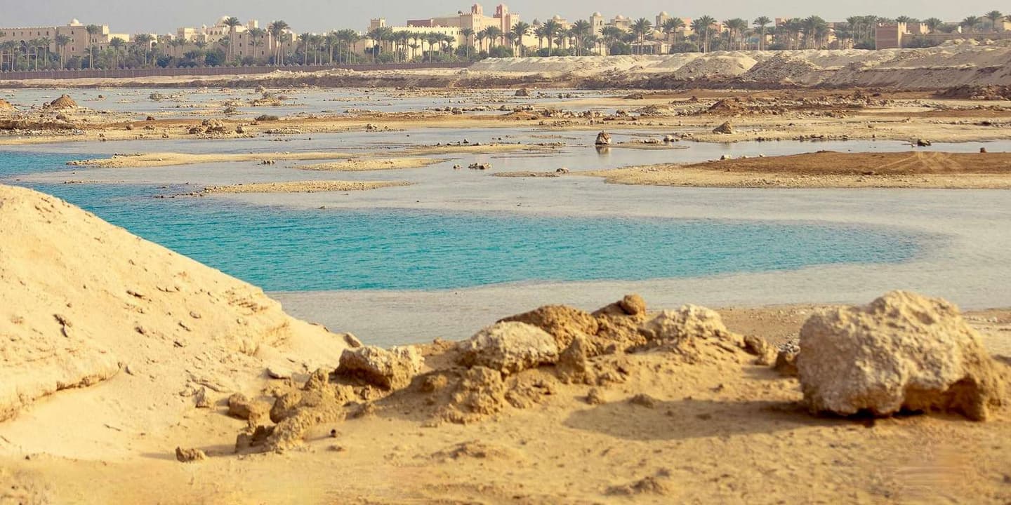 Hurghada: Camel Ride, Blue Lagoon, BBQ, and Stargazing