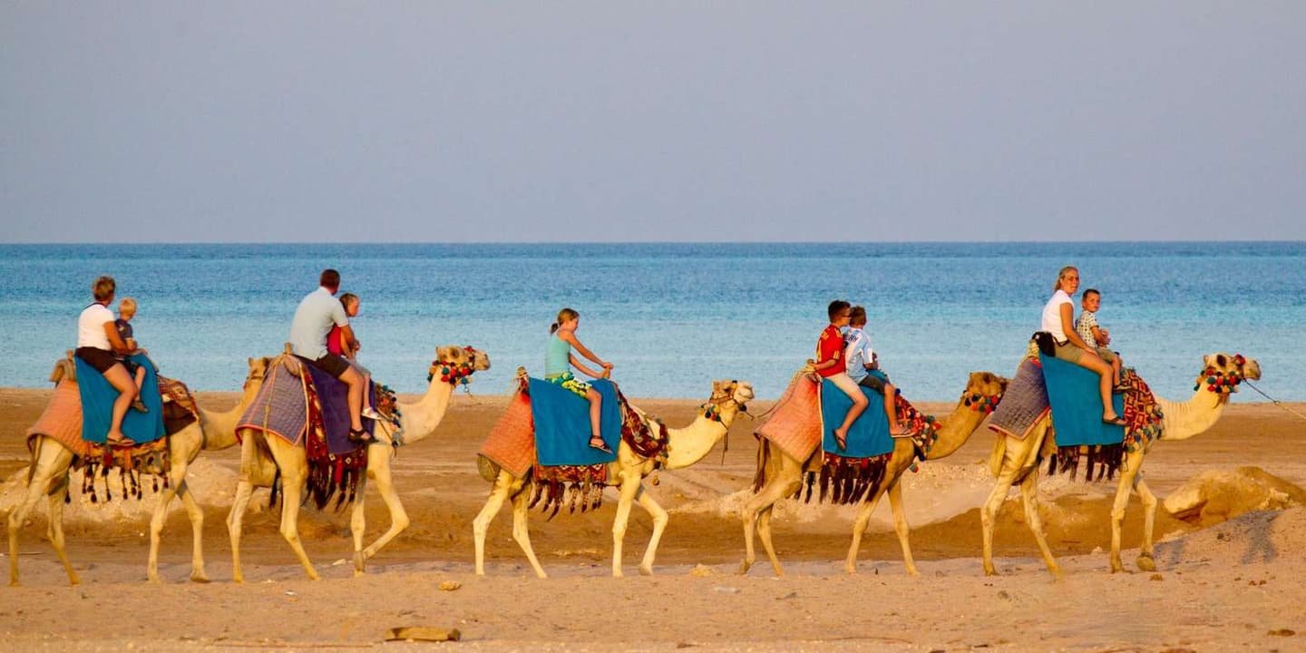 Hurghada: Camel Ride, Blue Lagoon, BBQ, and Stargazing