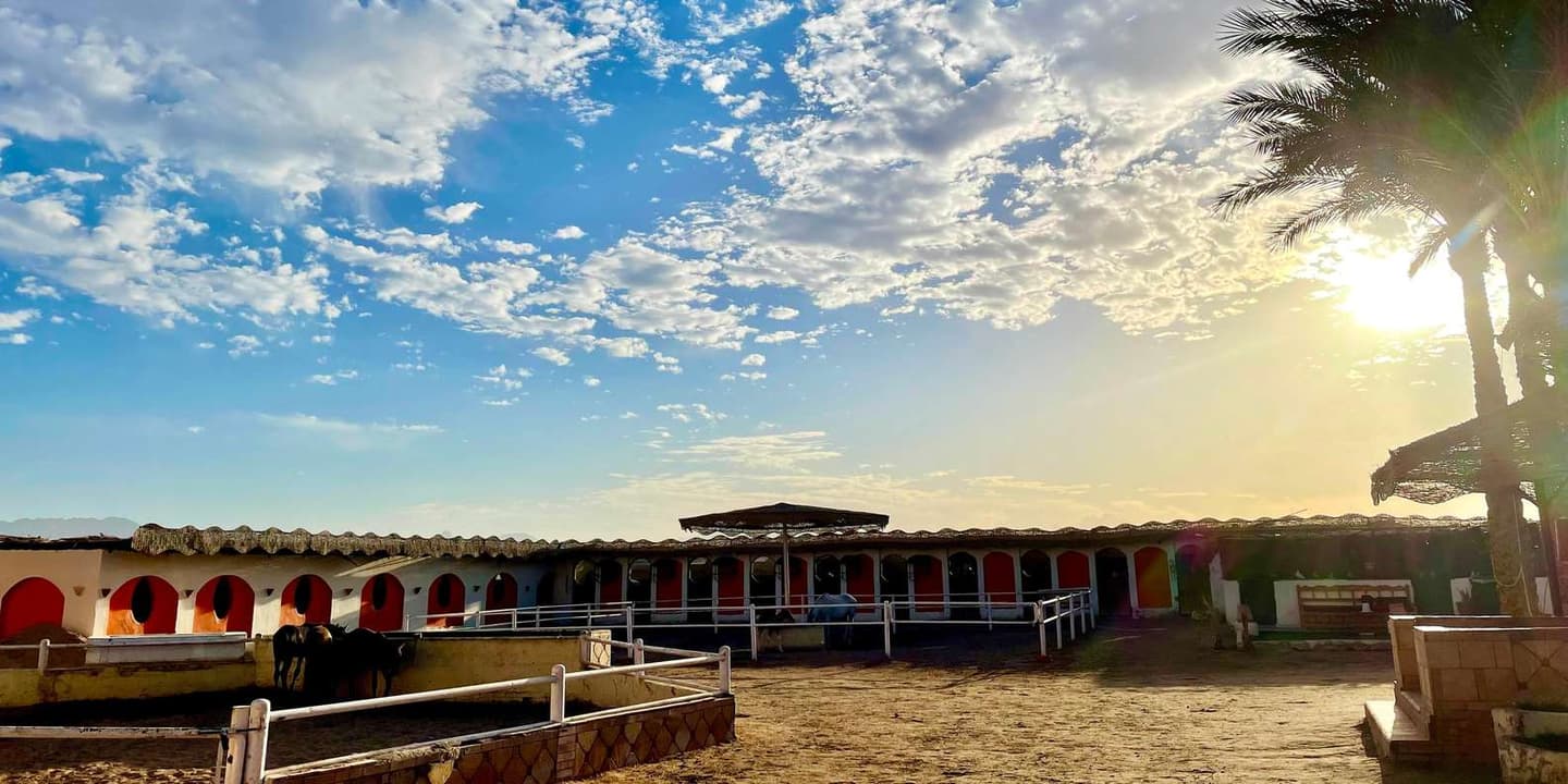 Hurghada: Camel Ride, Blue Lagoon, BBQ, and Stargazing