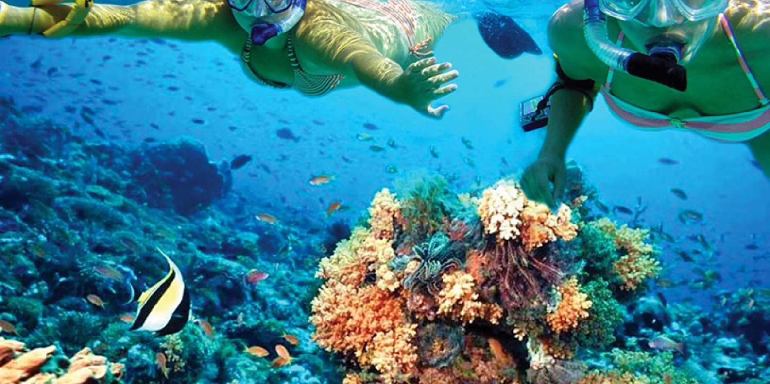 Hurghada: Day Snorkeling with Dolphins