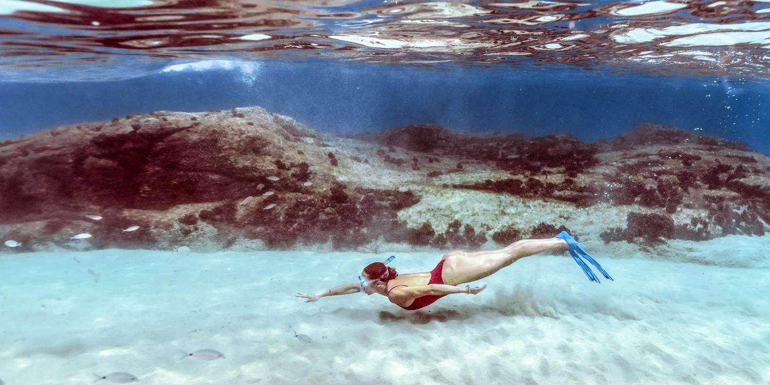 Hurghada: Day Snorkeling with Dolphins