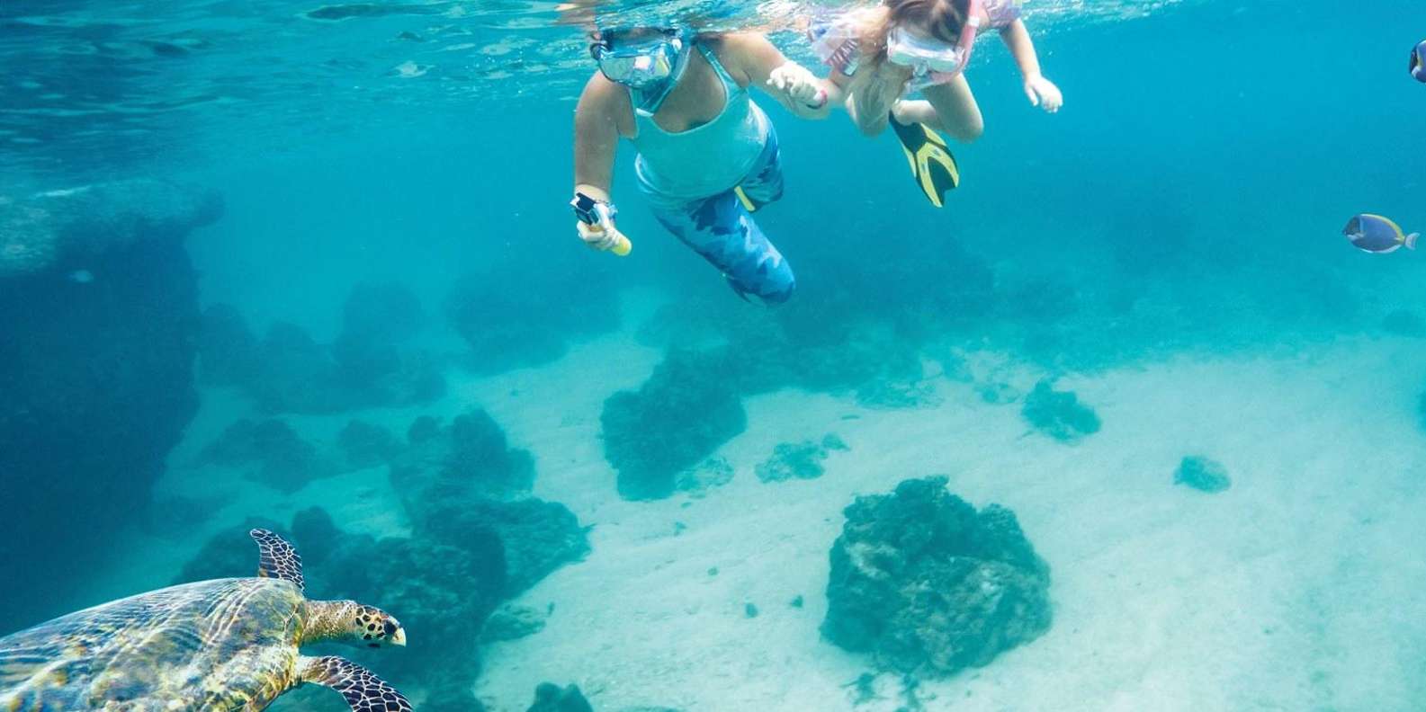 Hurghada: Day Snorkeling with Dolphins