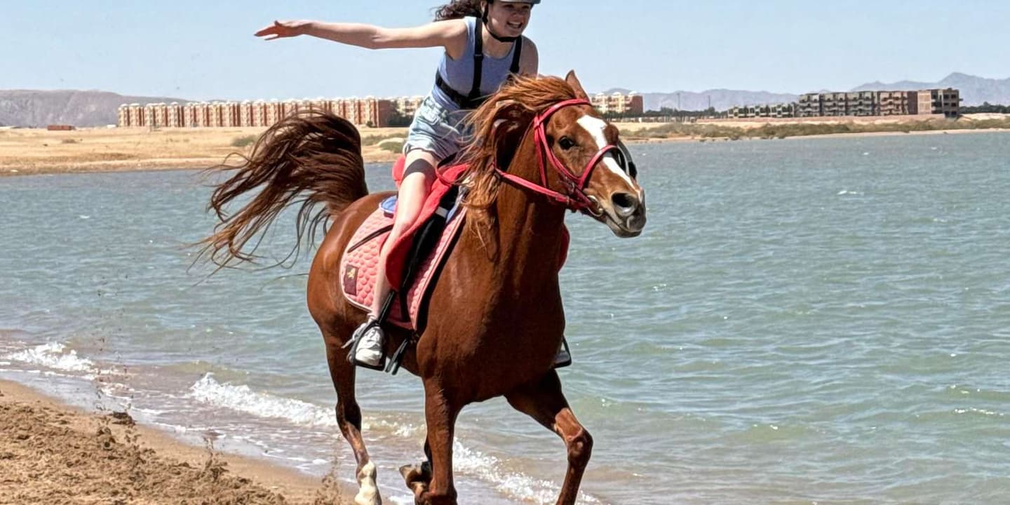 Hurghada: Desert and Beach Horse Riding Adventure