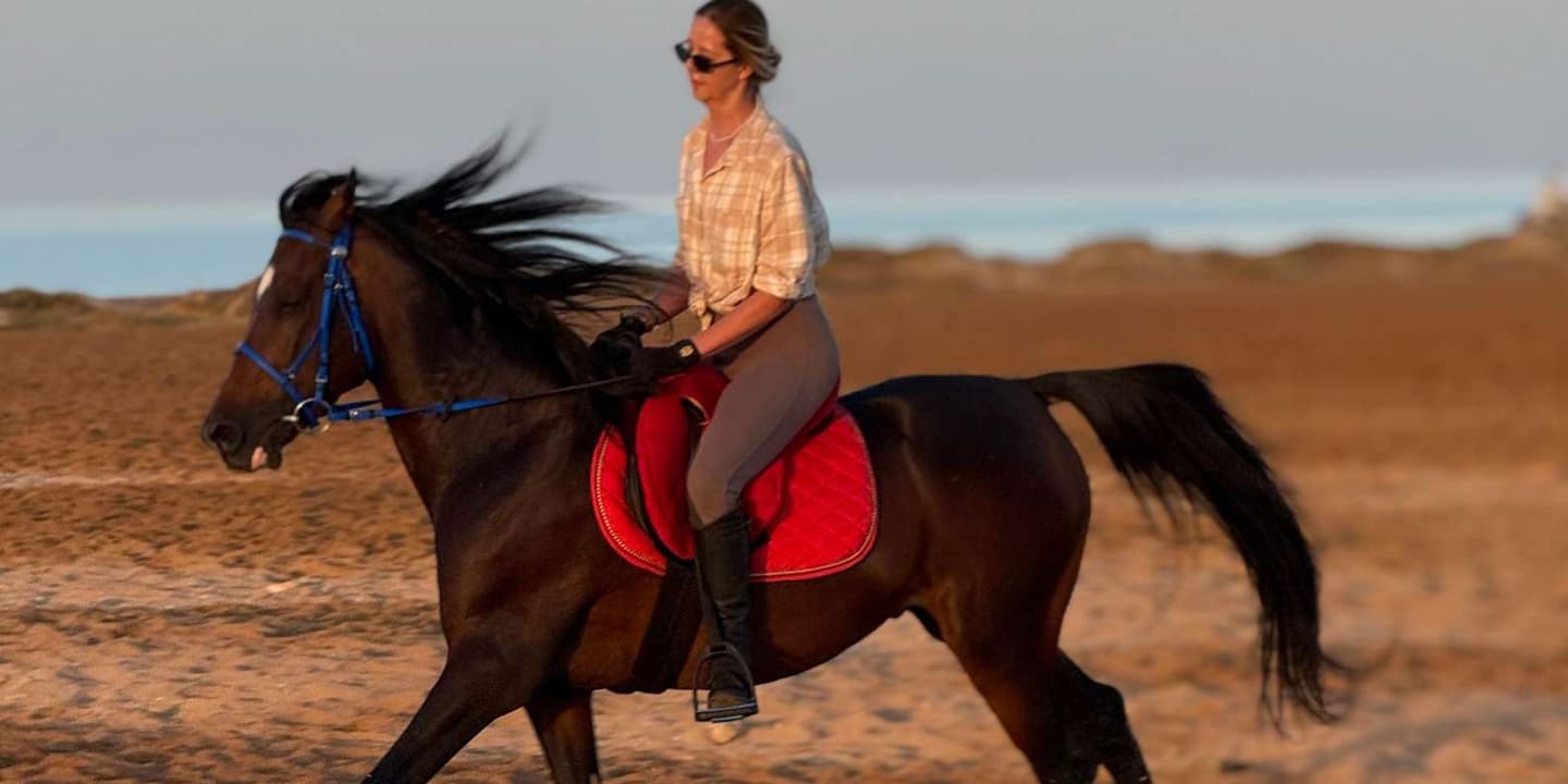 Hurghada: Desert and Beach Horse Riding Adventure