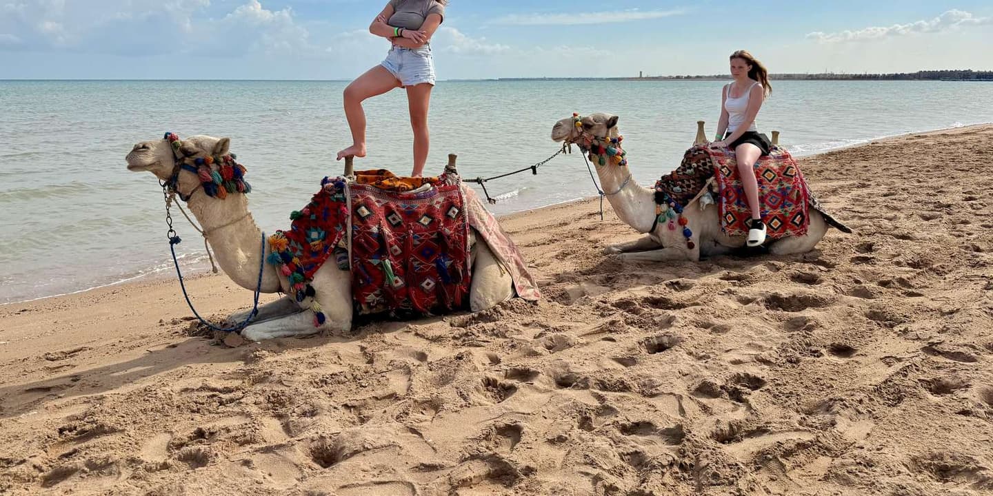 Hurghada: 1-Hour Desert & Beach Camel Ride + Transfers