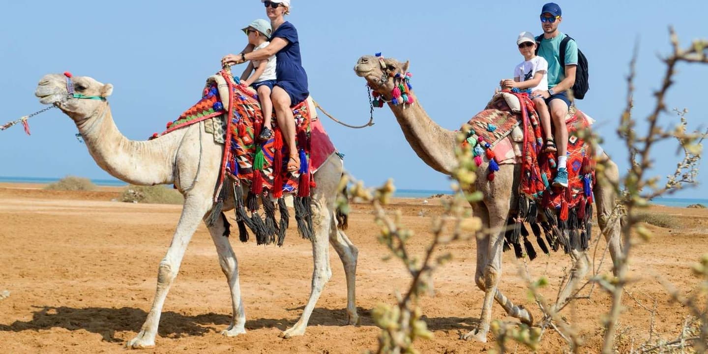 Hurghada: 1-Hour Desert & Beach Camel Ride + Transfers