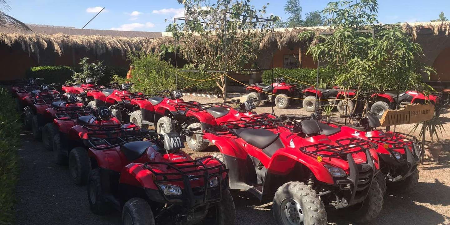 Hurghada: Desert Quad Bike/ATV with BBQ & Transfer