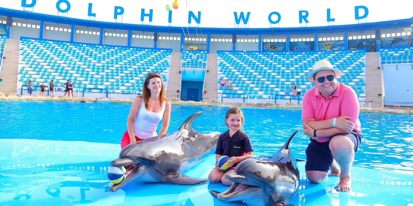 Hurghada: Dolphin World Show with Walruses & Pickup