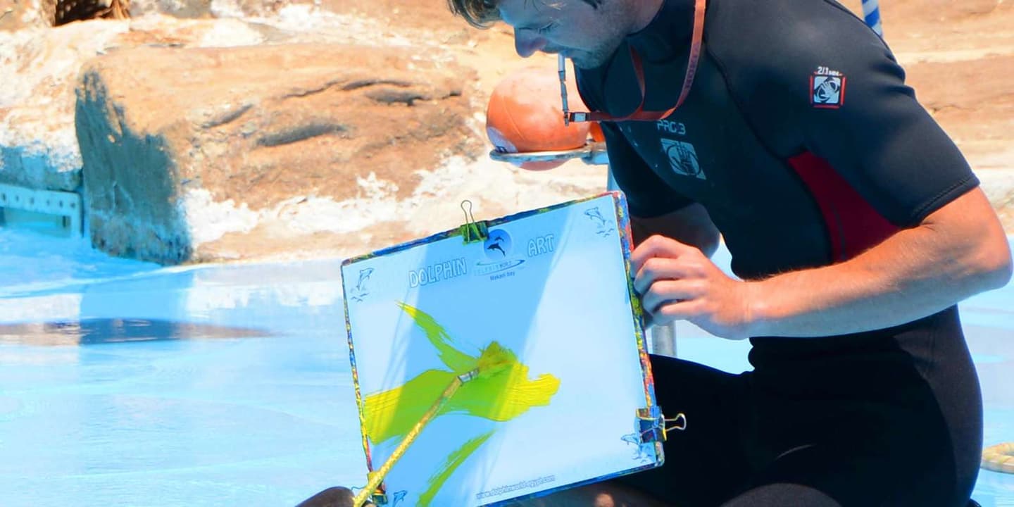 Hurghada: Dolphin World Show with Walruses & Pickup