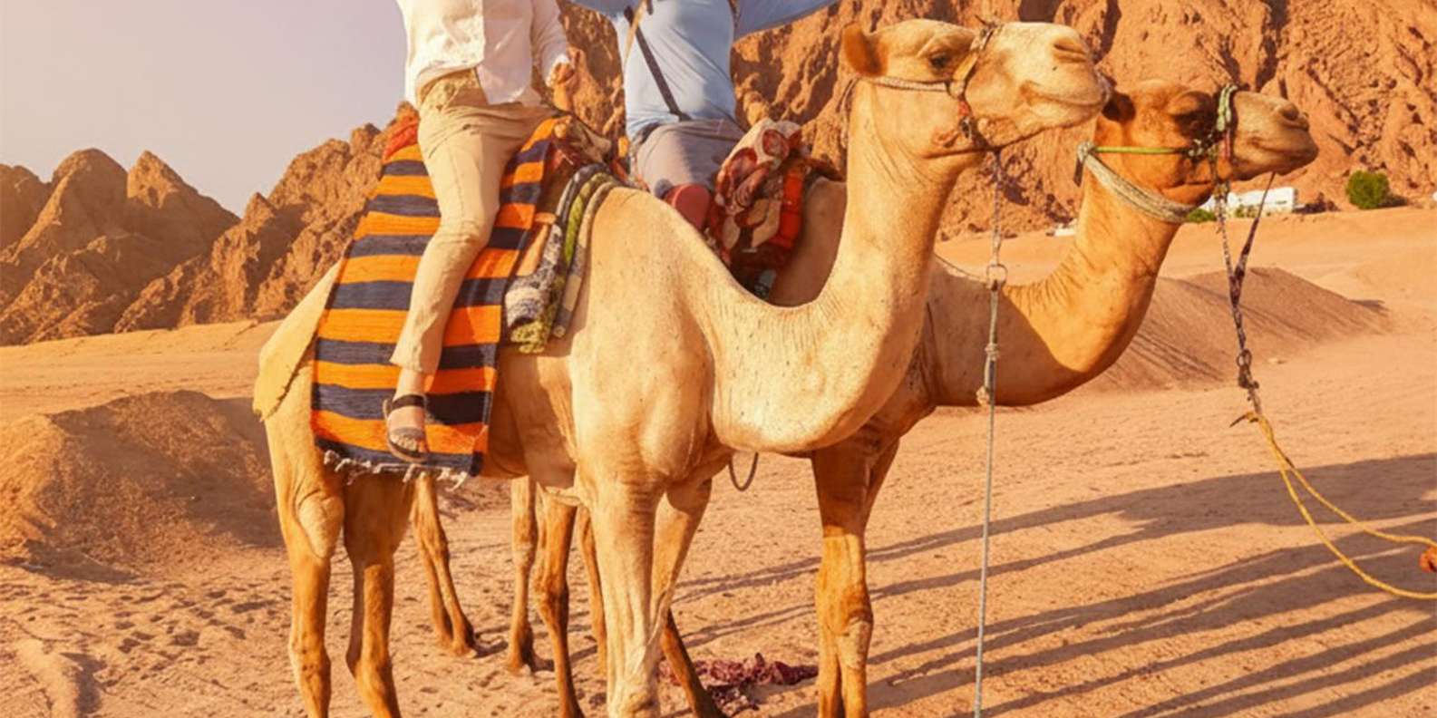 Hurghada: Desert Quad, Camel Ride, Stargazing & Dinner