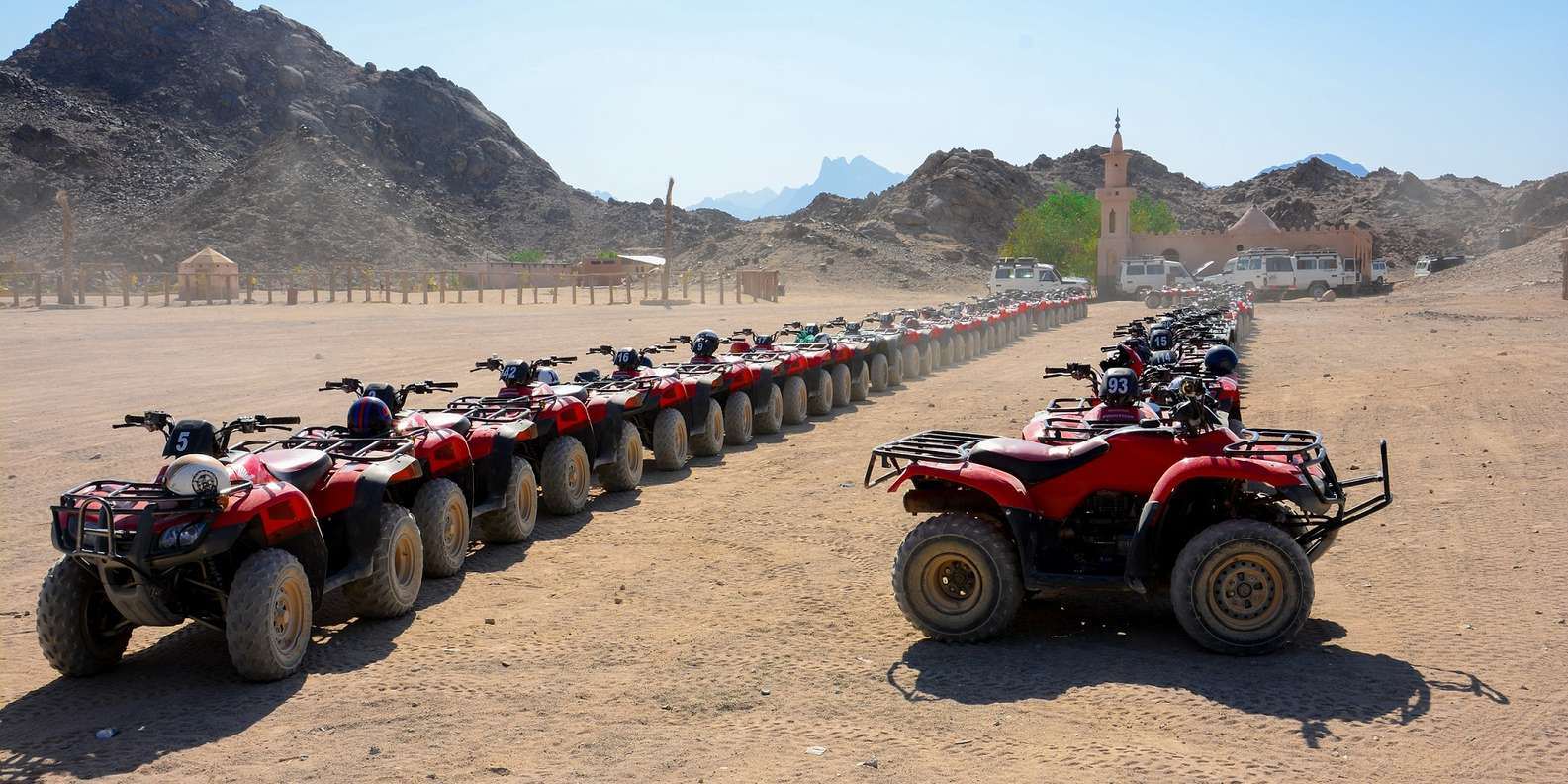 Hurghada: Desert Quad, Camel Ride, Stargazing & Dinner
