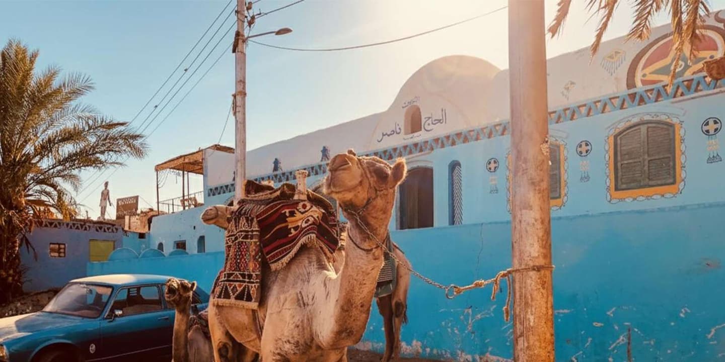 Hurghada: Desert Quad Adventure, Camels & Stargazing