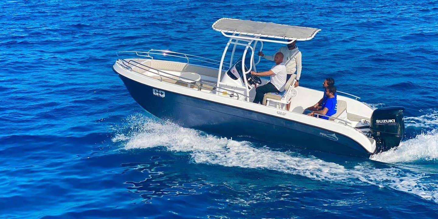 Hurghada: Orange Bay Dolphin Watching & Snorkelling