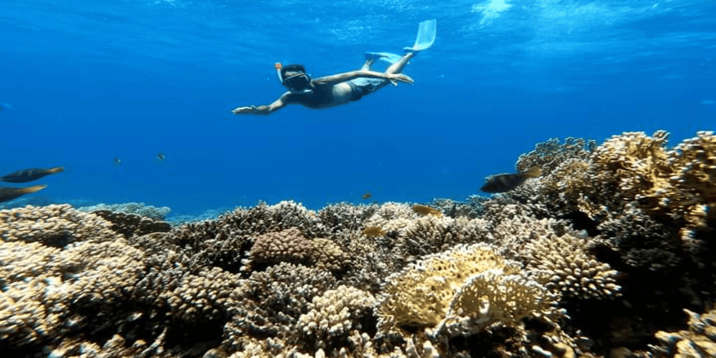 Hurghada: Orange & Giftun Island Cruise with Massage & Lunch