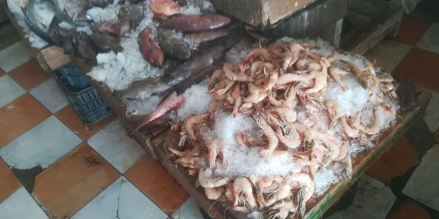 Hurghada: Private Guided City Tour & Shopping Stop