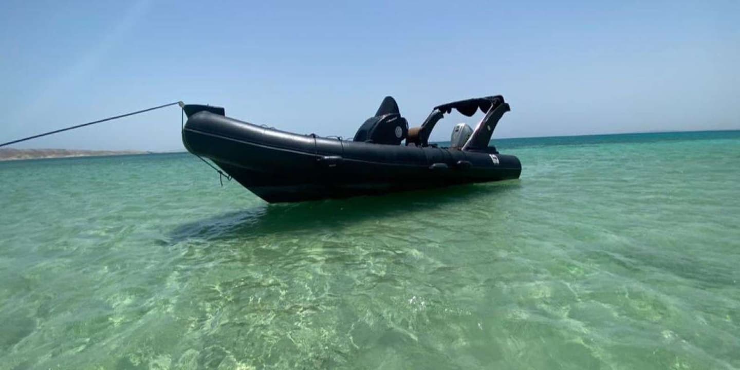 Hurghada: Private Speedboat to Dolphin House with Pickup