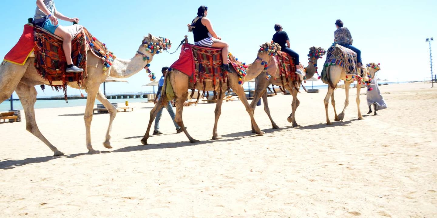 Hurghada: Sea & Desert Camel Ride w/Dinner, Show