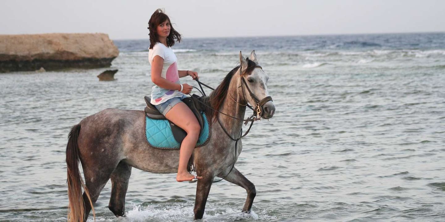 Hurghada: Sea & Desert Horse Ride, Dinner & Stargazing