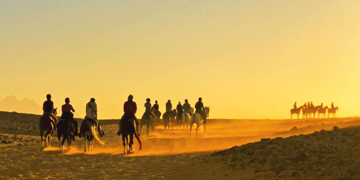 Hurghada: Sea & Desert Horse Ride, Dinner & Stargazing