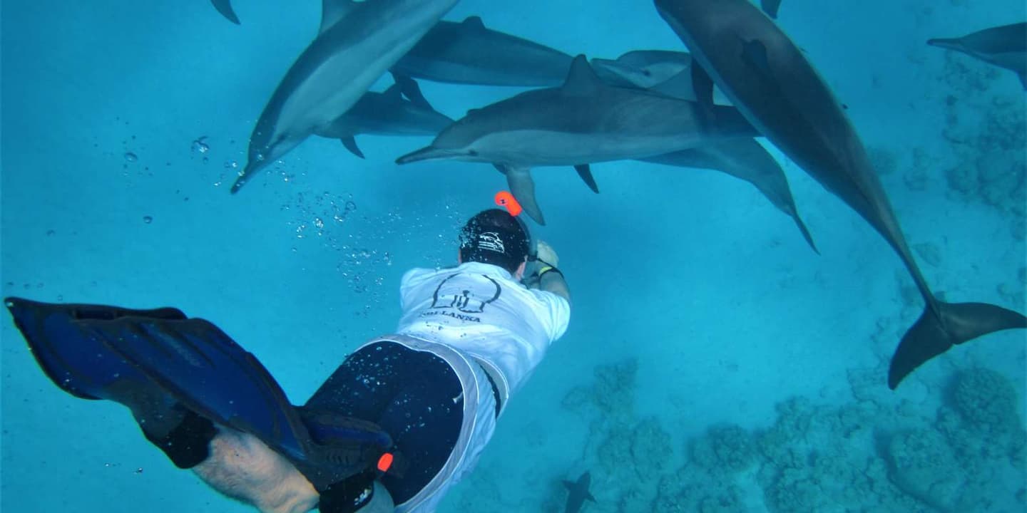 Hurghada: Speedboat, Dolphins, Snorkelling & 2 Islands