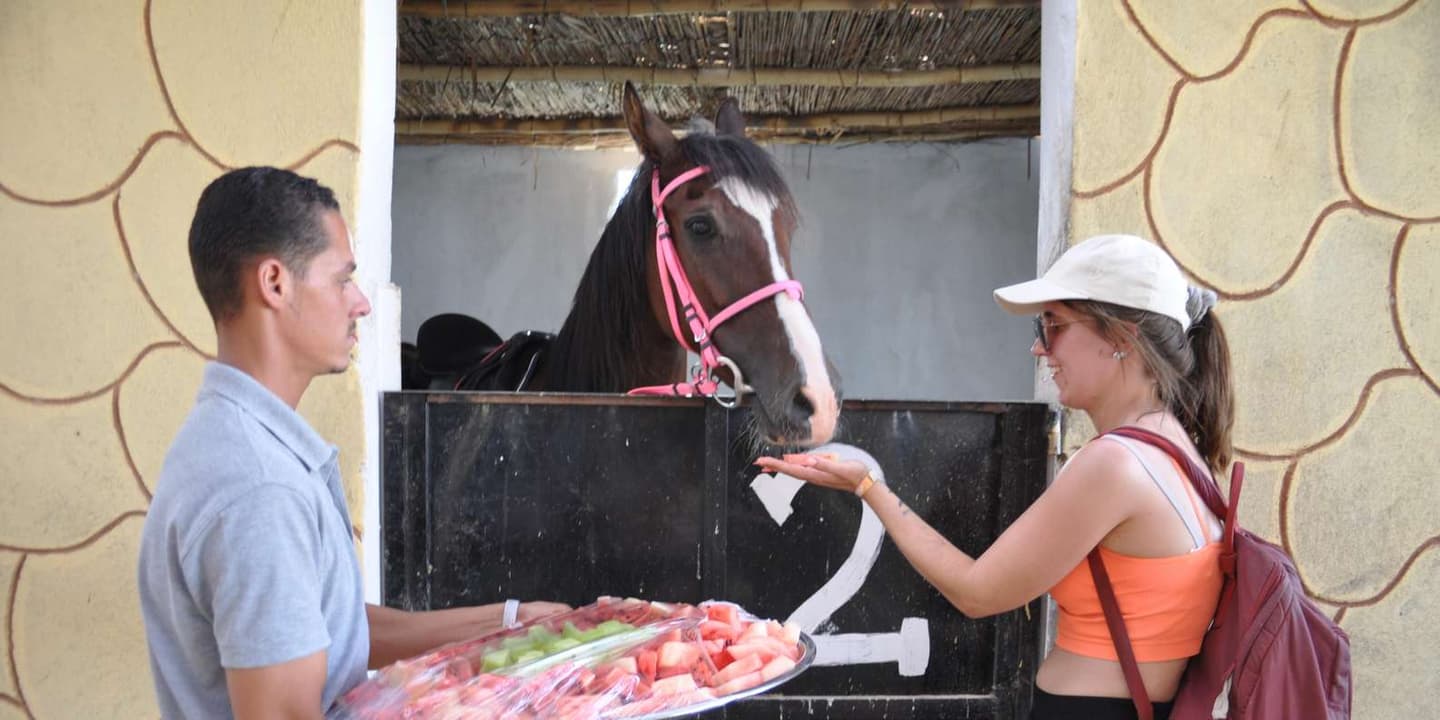 Hurghada: Sunset Oasis Safari with Horse Ride & Stargazing