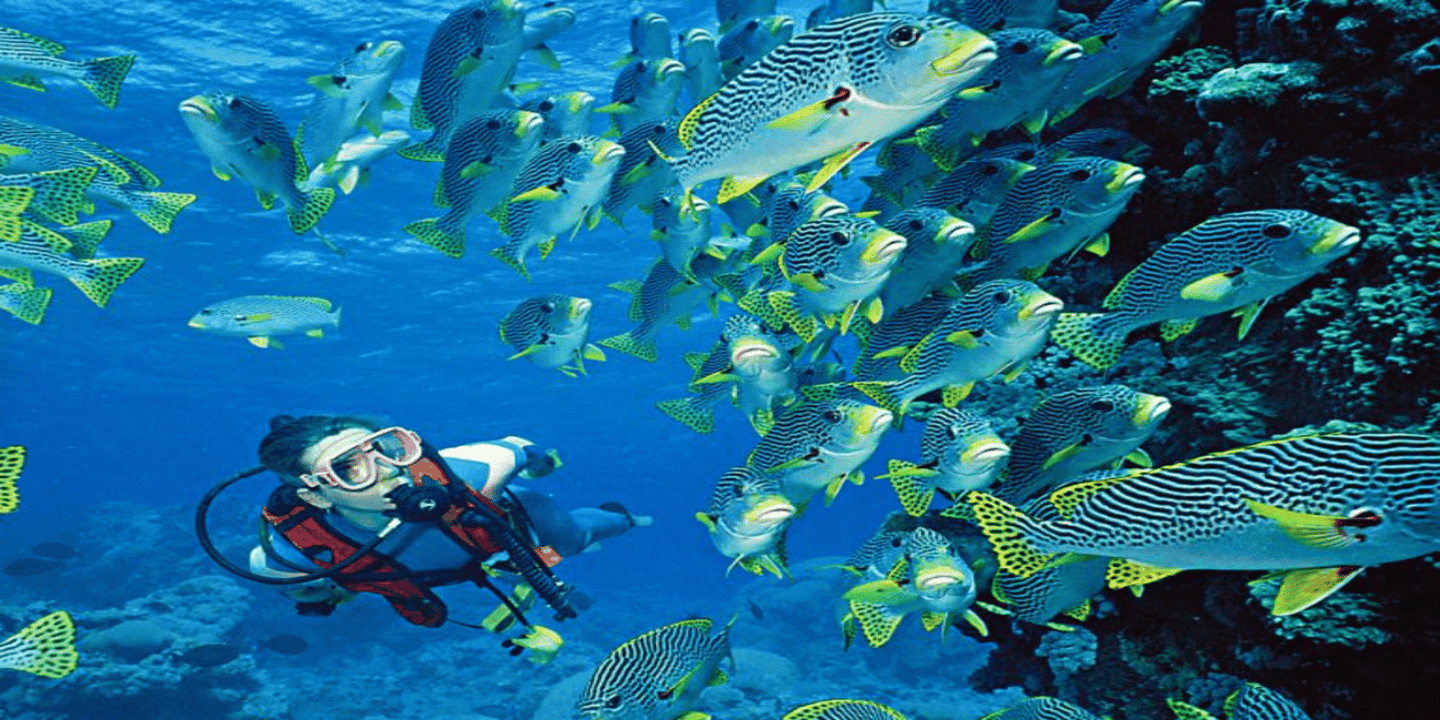 Hurghada: Luxury Diving & Snorkelling inc Island/Lunch/Massage