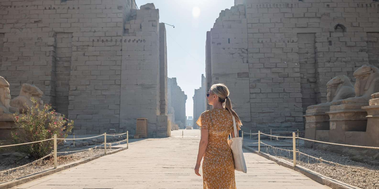 Luxor: Karnak and Luxor Temple Tour with Lunch