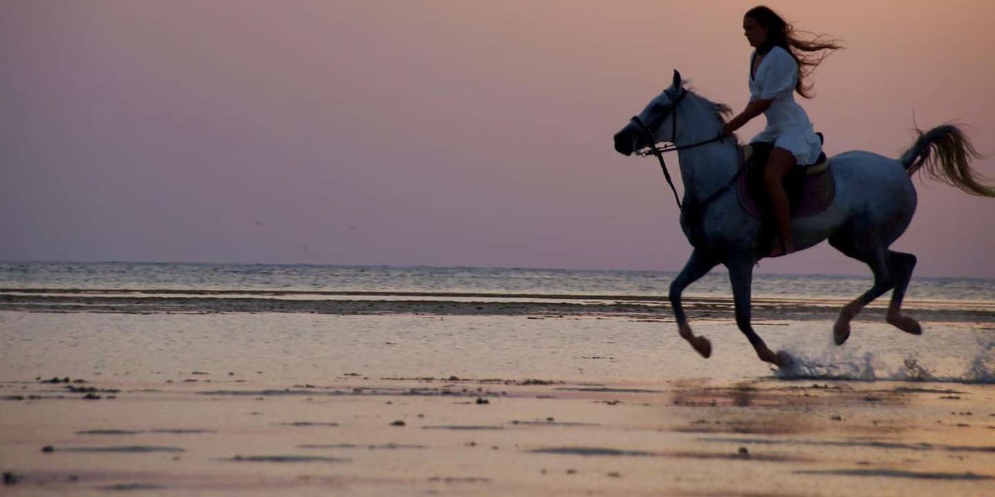 Makadi Bay: Desert & Sea Horse Riding w Guide + Transfers