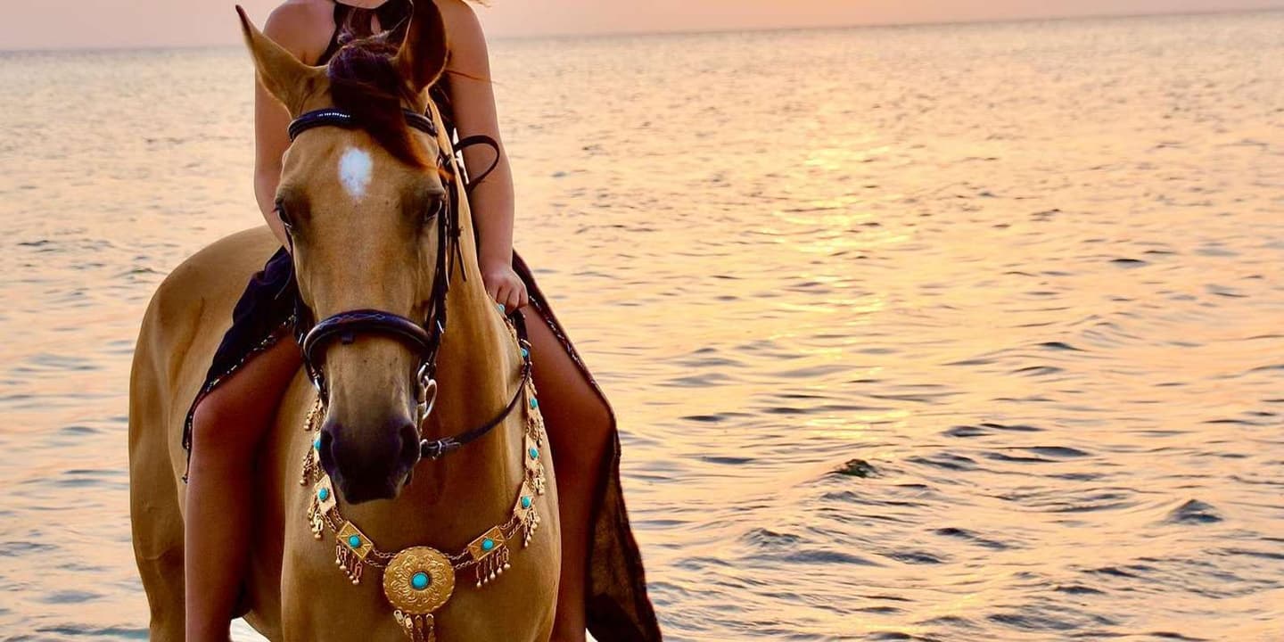 Makadi Bay: Desert & Sea Horse Riding w Guide + Transfers