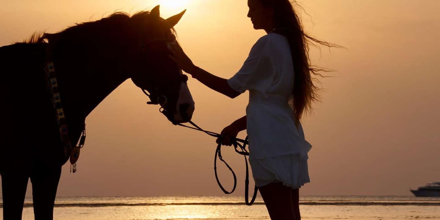 Makadi Bay: Desert & Sea Horse Riding w Guide + Transfers