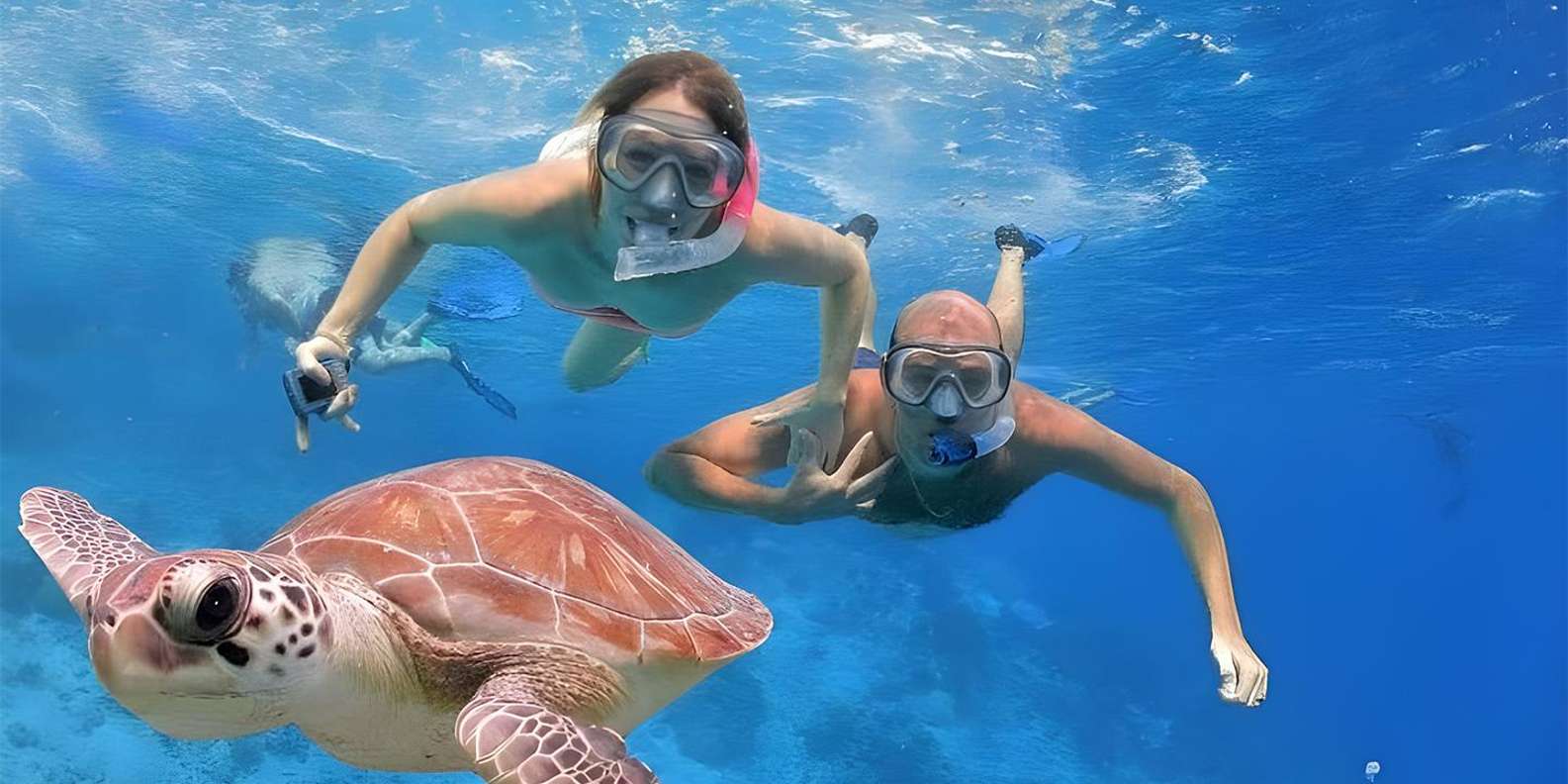 Marsa Alam: Hamata Islands Snorkelling Cruise with Lunch