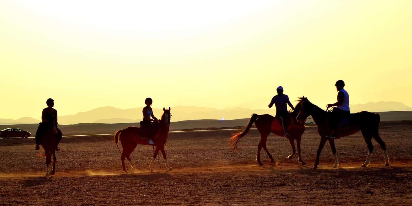 Marsa Alam: Sea and Desert Horseback Adventure