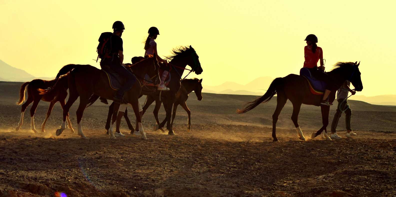 Marsa Alam: Sunrise Horseback Ride with Breakfast