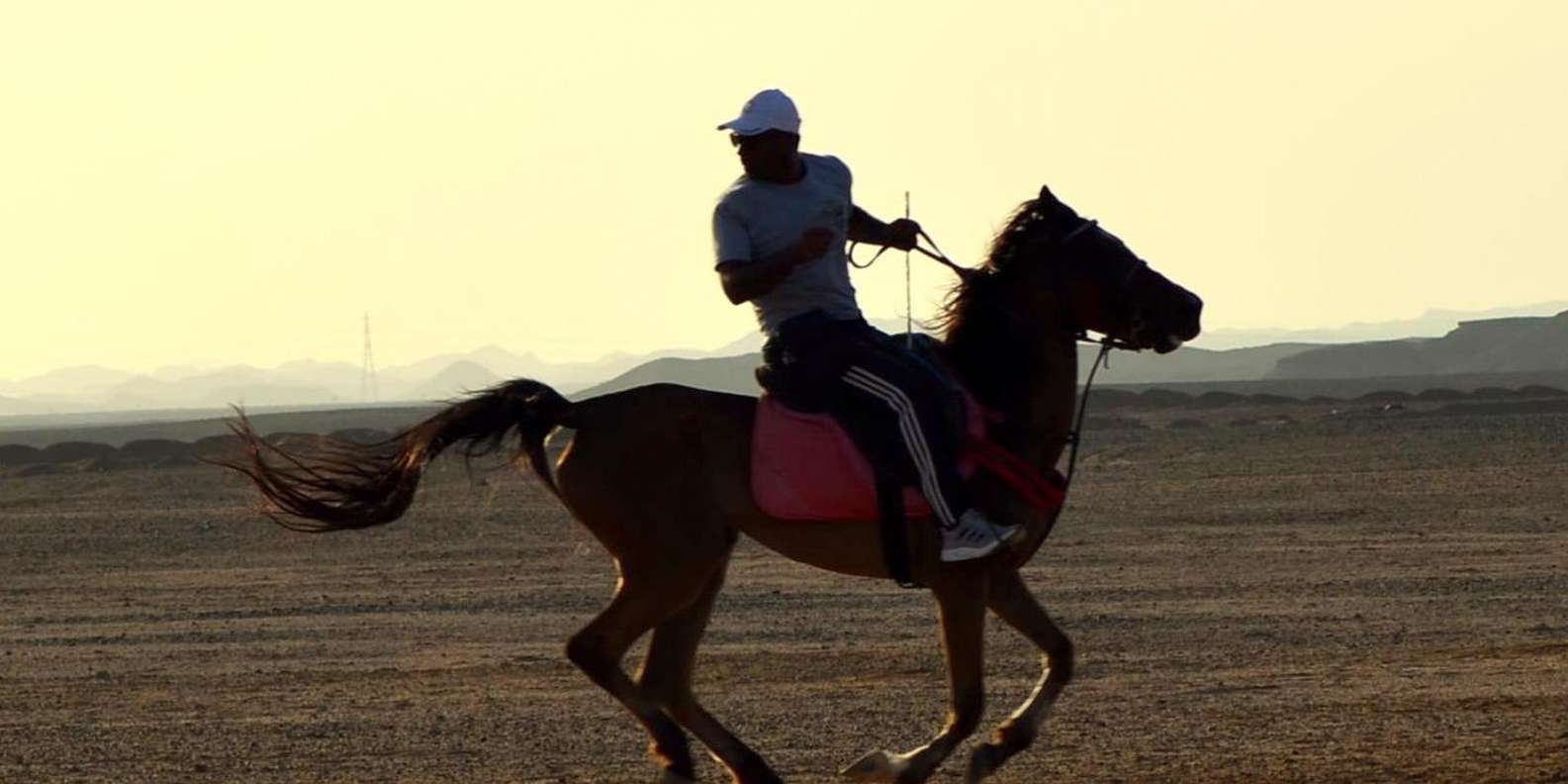 Marsa Alam: Sunrise Horseback Ride with Breakfast