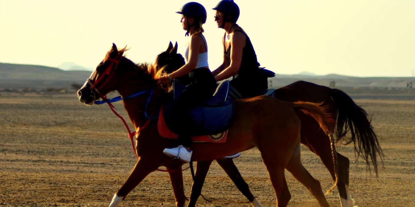 Marsa Alam: Sunset Horseback Ride, Dinner & Stars