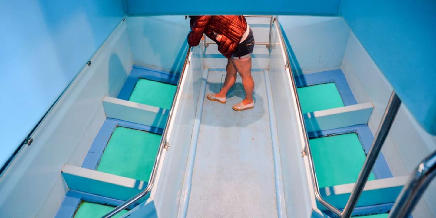 Sharm El Sheikh: Glass-Bottom Boat Adventure + Transfer