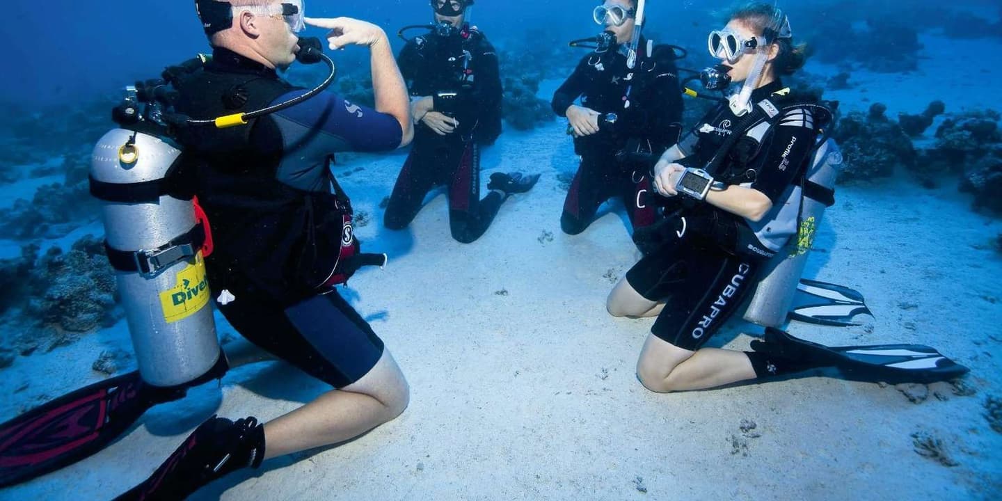 Sharm El Sheikh: PADI Diving Courses Package