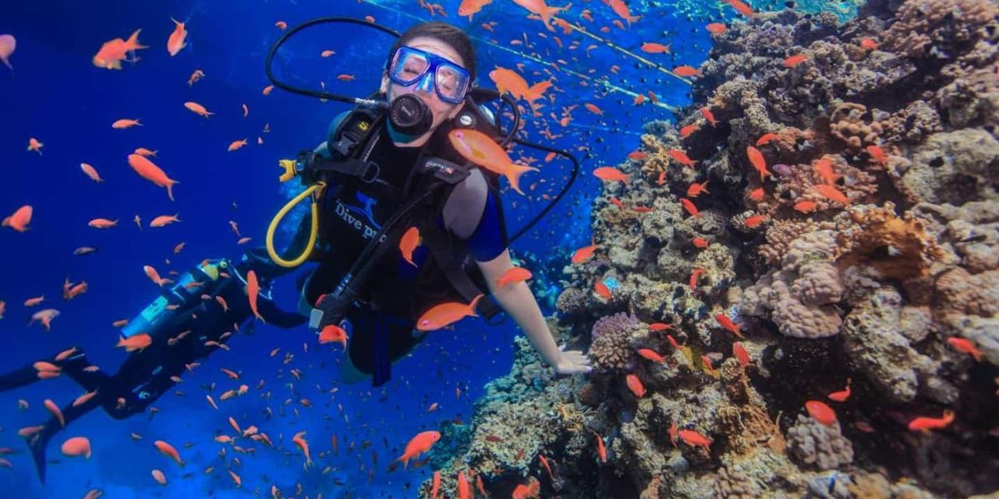 Sharm El Sheikh: Tiran Island Cruise, Snorkel & Dive