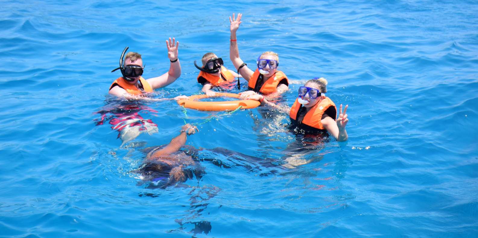 Sharm: VIP Snorkelling Cruise with International Lunch