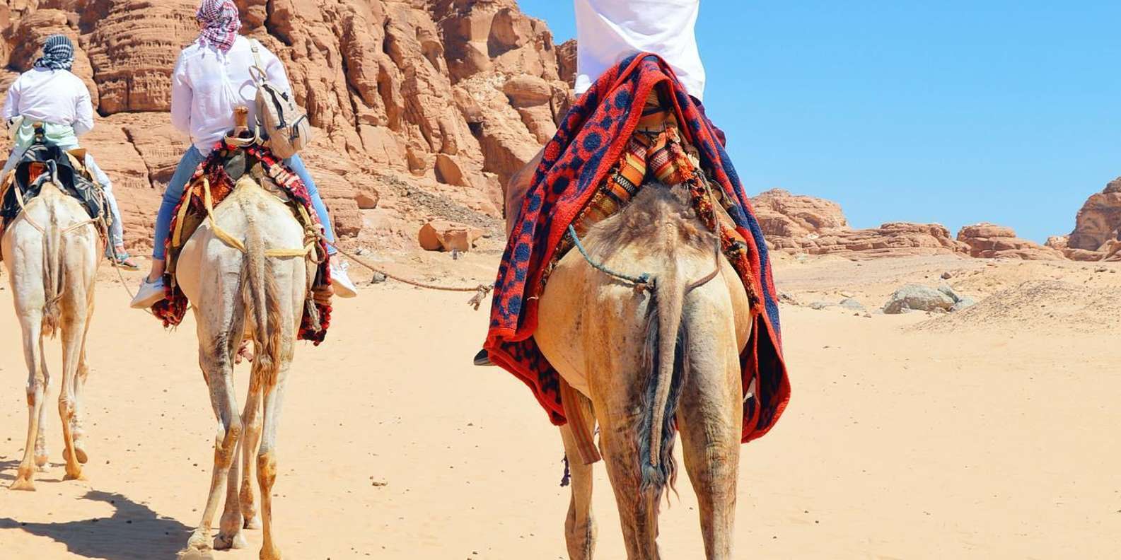 Sharm: Water Sports Adventure Day with Hotel Transfer