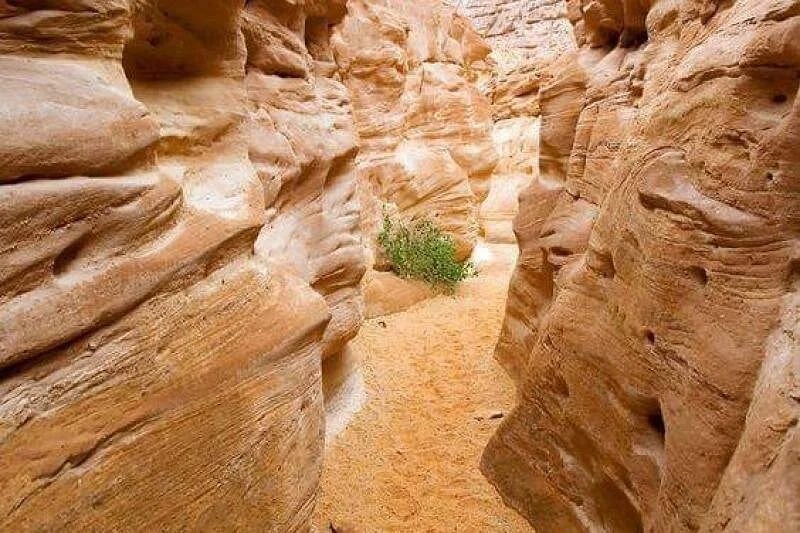 colored canyon and white canyon tour from taba - Image 1
