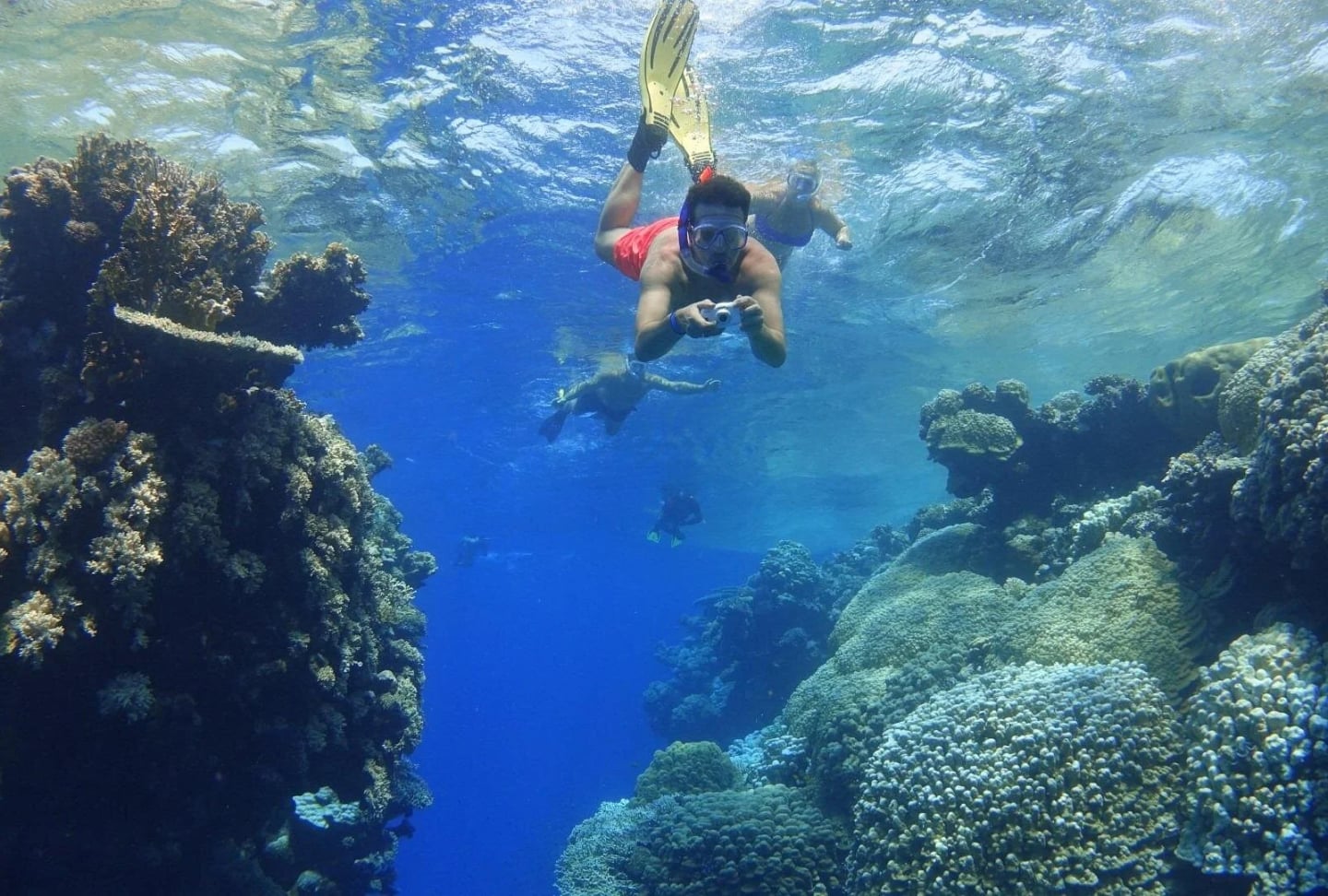 coral garden snorkeling from masa alam - Image 1